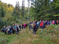 zloty lisc 2018 (12)